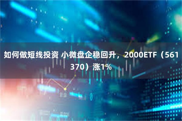 如何做短线投资 小微盘企稳回升，2000ETF（561370）涨1%