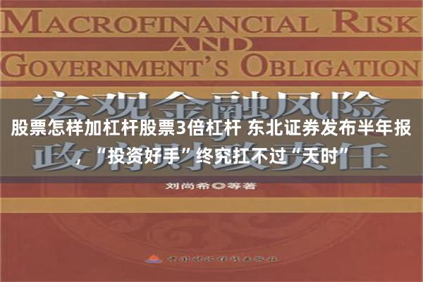 股票怎样加杠杆股票3倍杠杆 东北证券发布半年报，“投资好手”终究扛不过“天时”