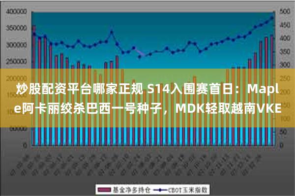 炒股配资平台哪家正规 S14入围赛首日：Maple阿卡丽绞杀巴西一号种子，MDK轻取越南VKE