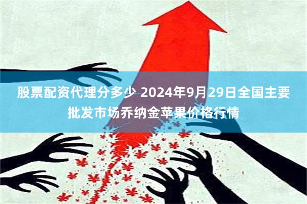 股票配资代理分多少 2024年9月29日全国主要批发市场乔纳金苹果价格行情