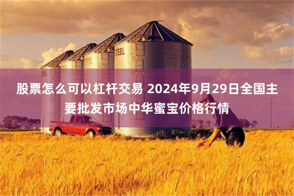 股票怎么可以杠杆交易 2024年9月29日全国主要批发市场中华蜜宝价格行情