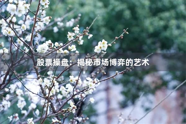 股票操盘：揭秘市场博弈的艺术