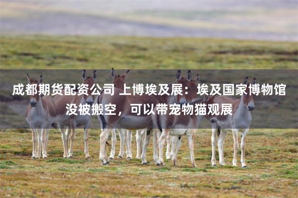 成都期货配资公司 上博埃及展：埃及国家博物馆没被搬空，可以带宠物猫观展