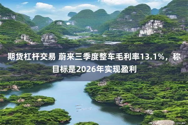 期货杠杆交易 蔚来三季度整车毛利率13.1%，称目标是2026年实现盈利