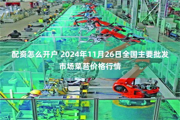 配资怎么开户 2024年11月26日全国主要批发市场菜苔价格行情