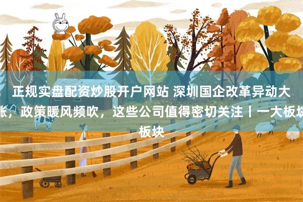 正规实盘配资炒股开户网站 深圳国企改革异动大涨，政策暖风频吹，这些公司值得密切关注丨一大板块