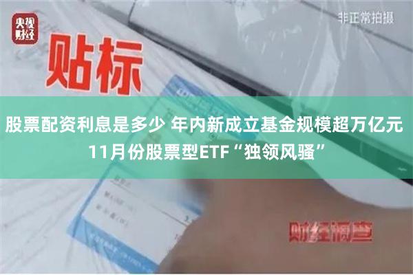 股票配资利息是多少 年内新成立基金规模超万亿元 11月份股票型ETF“独领风骚”