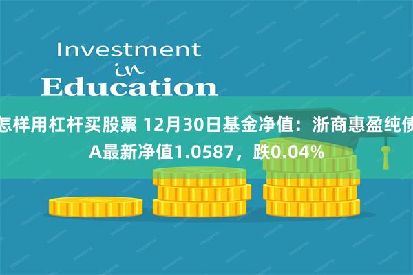怎样用杠杆买股票 12月30日基金净值：浙商惠盈纯债A最新净值1.0587，跌0.04%