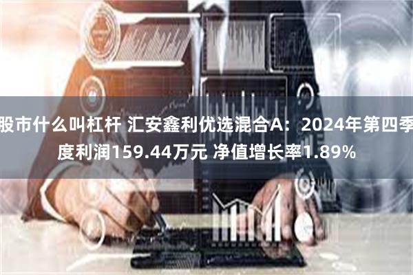 股市什么叫杠杆 汇安鑫利优选混合A：2024年第四季度利润159.44万元 净值增长率1.89%