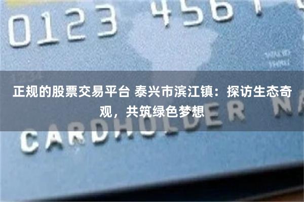 正规的股票交易平台 泰兴市滨江镇：探访生态奇观，共筑绿色梦想