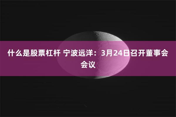 什么是股票杠杆 宁波远洋：3月24日召开董事会会议