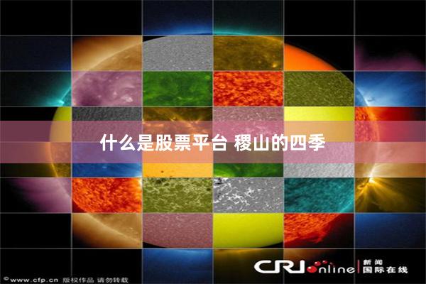 什么是股票平台 稷山的四季