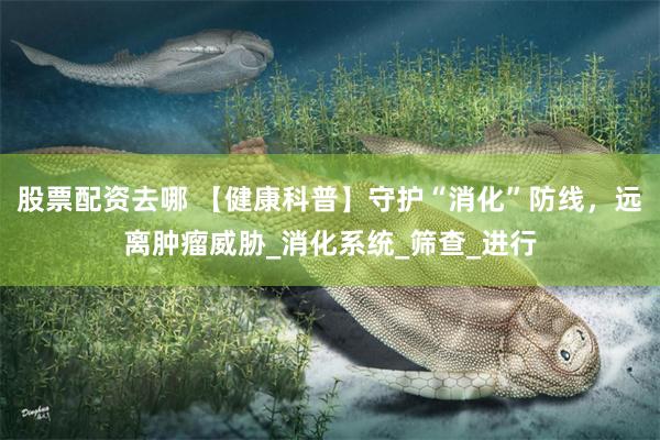 股票配资去哪 【健康科普】守护“消化”防线，远离肿瘤威胁_消化系统_筛查_进行