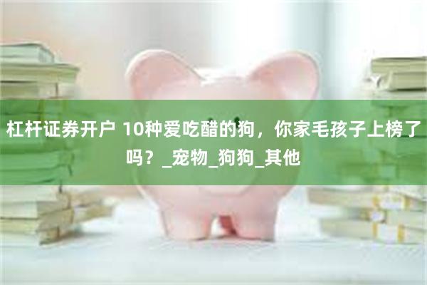 杠杆证券开户 10种爱吃醋的狗，你家毛孩子上榜了吗？_宠物_狗狗_其他