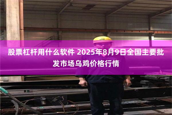 股票杠杆用什么软件 2025年8月9日全国主要批发市场乌鸡价格行情