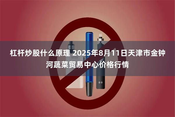 杠杆炒股什么原理 2025年8月11日天津市金钟河蔬菜贸易中心价格行情